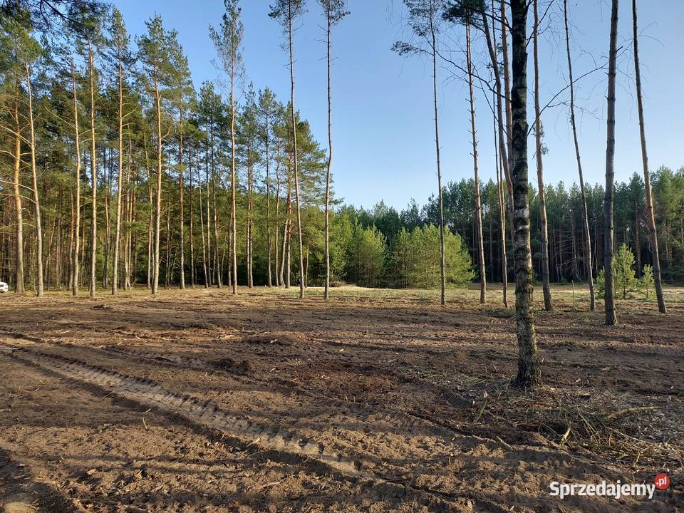 Rogóźno 1261m2 piękna działka rzeki i lasu sprzedam
