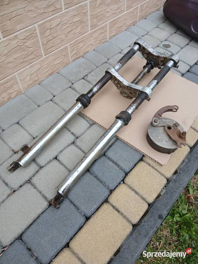 Wsk lelek dudek bąk Równe