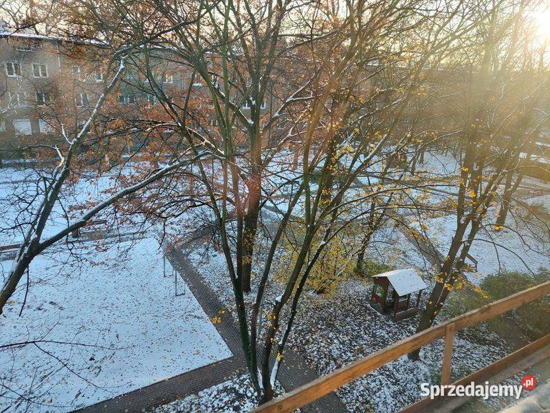 2pok 41met Krzywoustego PIWNICASTRYCH Wrocław 3 piętra i więcej Sprzedaż dolnośląskie