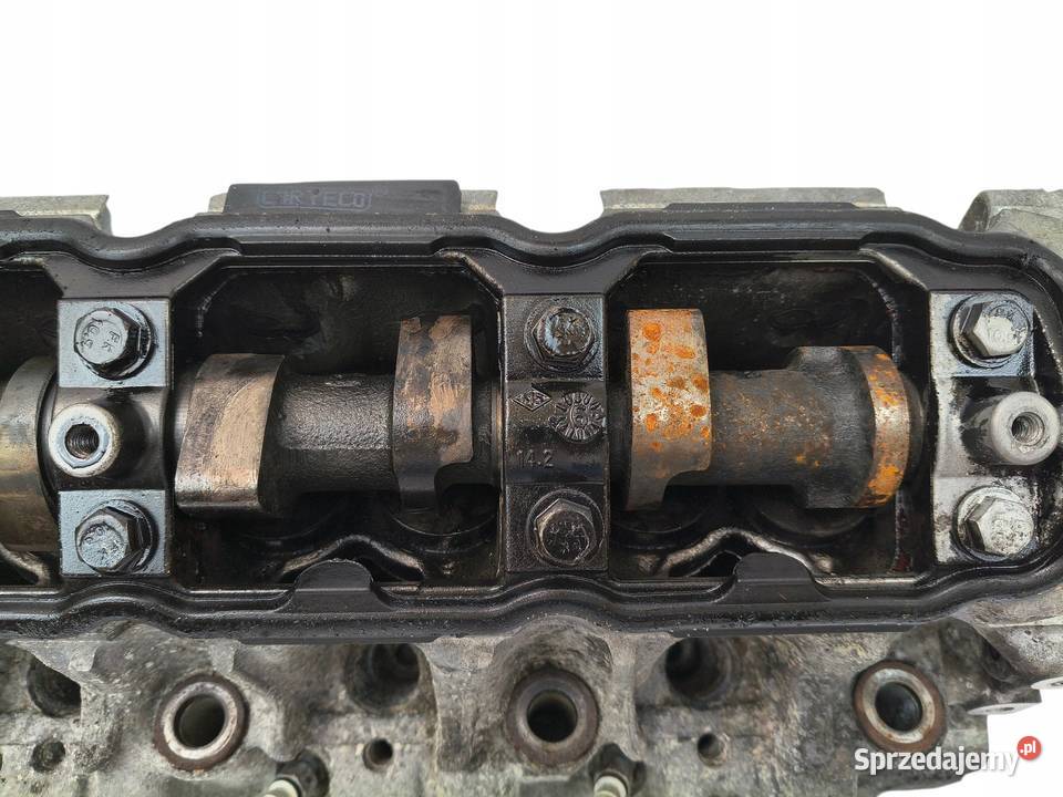 GŁOWICA Renault Scenic II Megane II Laguna 19 lubelskie Chełm