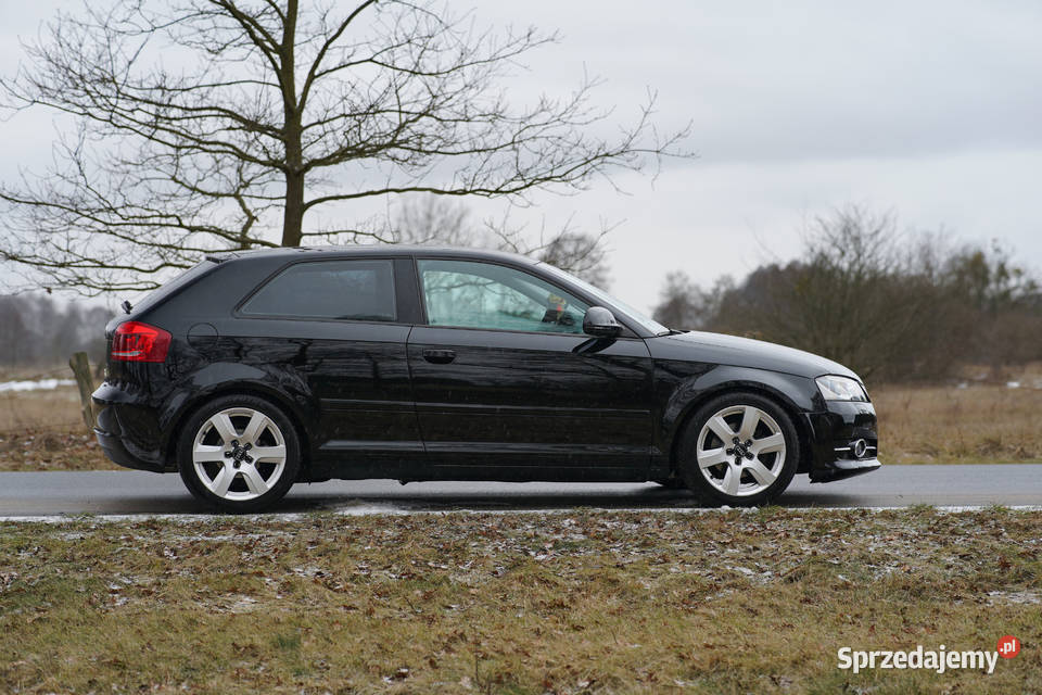 Audi a3 8p Lift 20 TDI A3 wielkopolskie Krzyż Wielkopolski