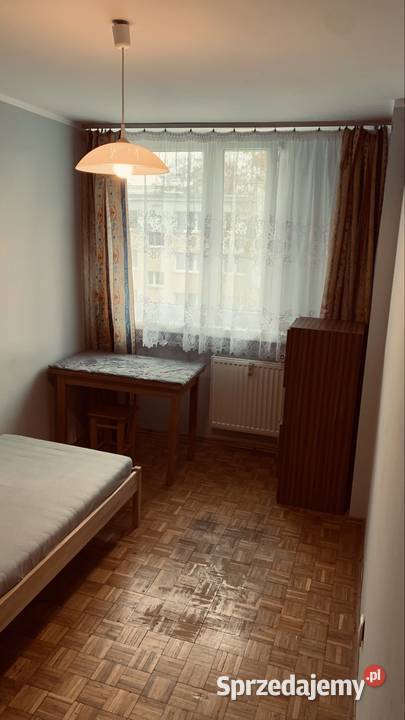 Wynajem Wrocław Popowice strych sprzedam