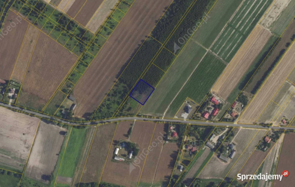 Działka 8910 w miejscowości Kamienica mazowieckie