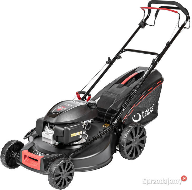 HONDA KOSIARKA SPALINOWA DO TRAWY CEDRUS KS56SH Opalenica