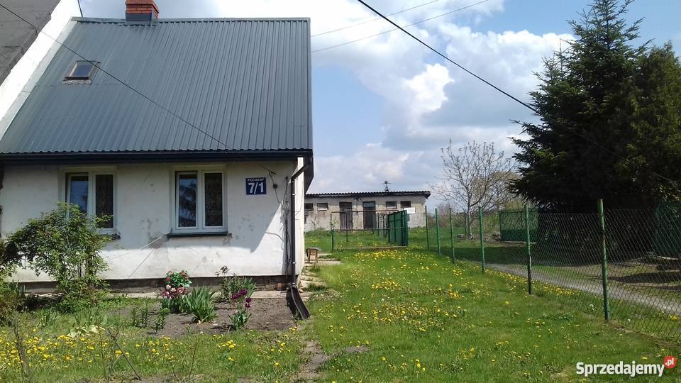 sprzedam Domy Pęchery