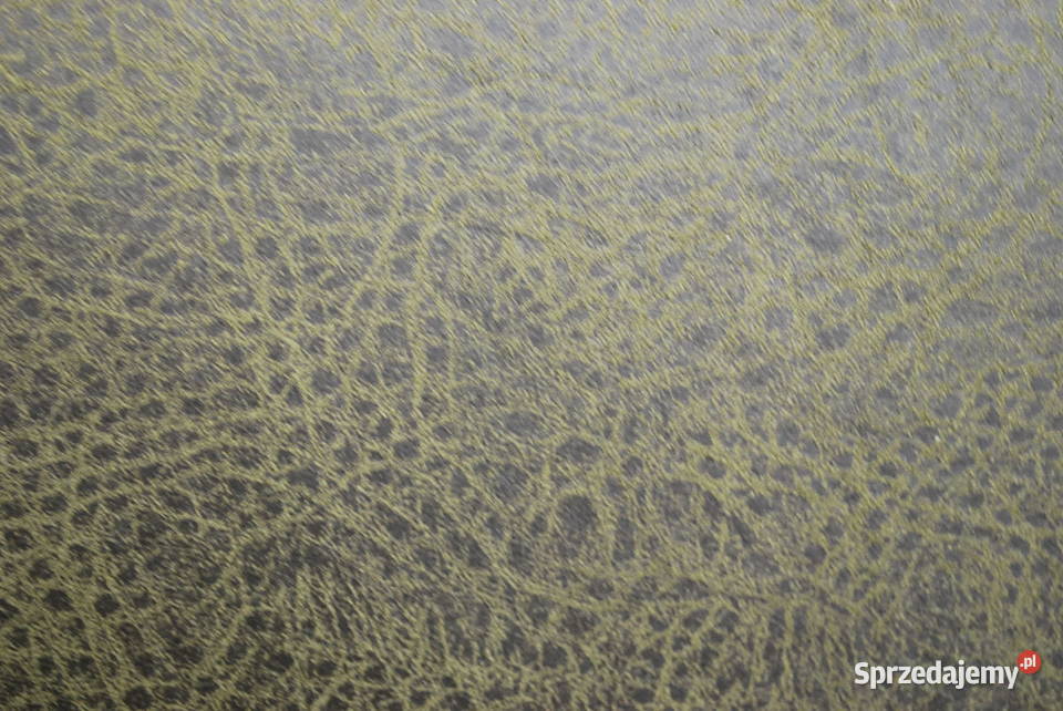 Nin WYGODNY FOTEL OKAZJA Poznań