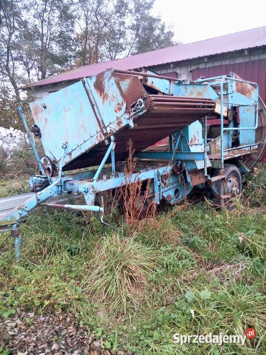 Wyorywacz sadzonek truskawek Anna kopaczka mazowieckie Mała Wieś