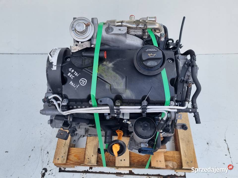 SILNIK KOMPLET VW Golf V 19 TDI 105 ładnie lubelskie Rudka