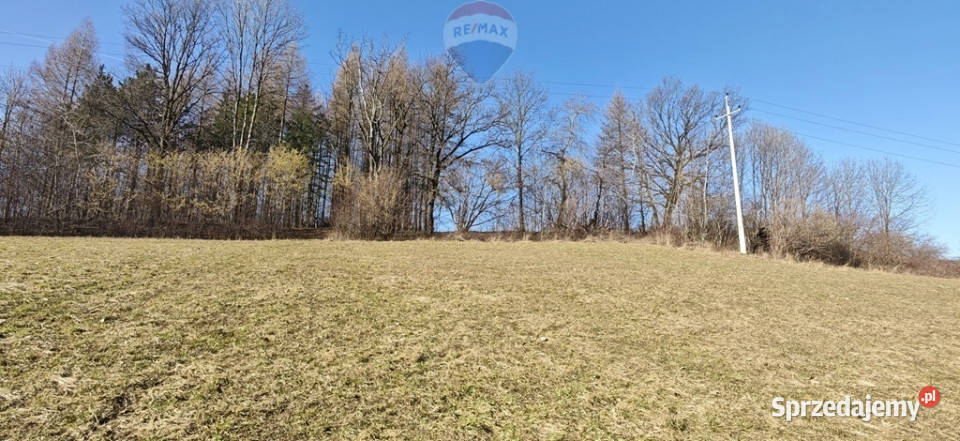 Działka budowlana pod lasem Dzięgielów sprzedam