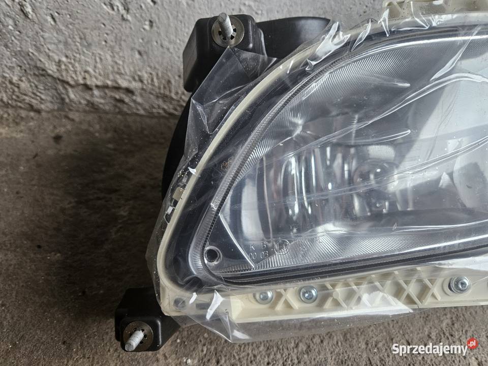 Halogen Lewy DAF XF Międzychód