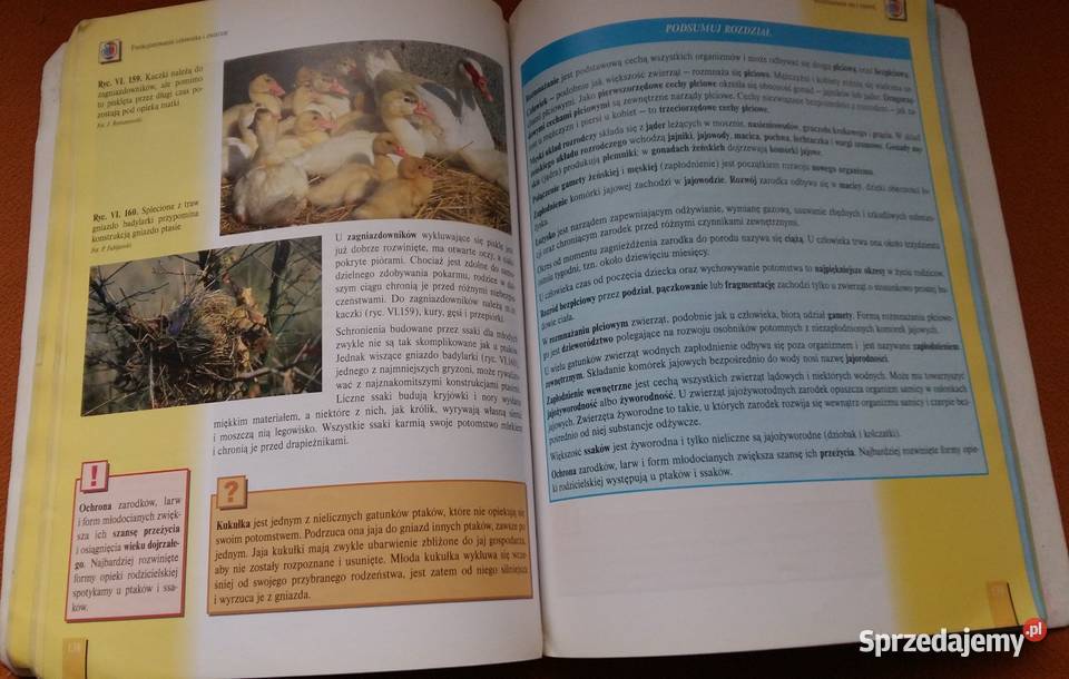 Biologia XXI wieku podręcznik część 2 Łódź