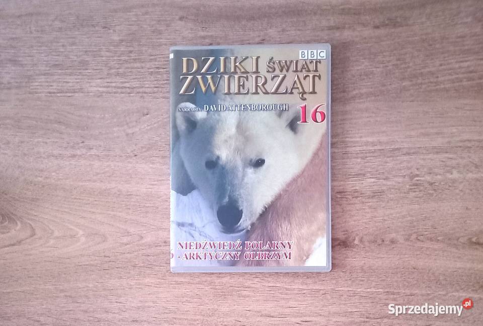Edukacja Lew Orka i inne seria BBC Dziki świat Kraków