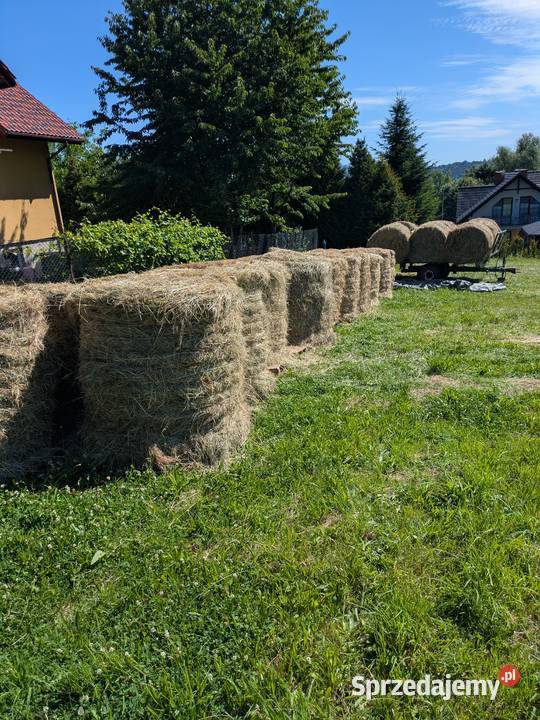 Sprzedam baloty śląskie Żywiec