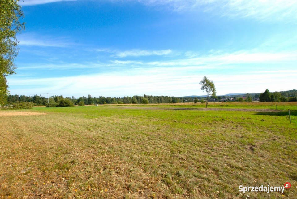 sprzedaży działki Daleszyce 1251m2