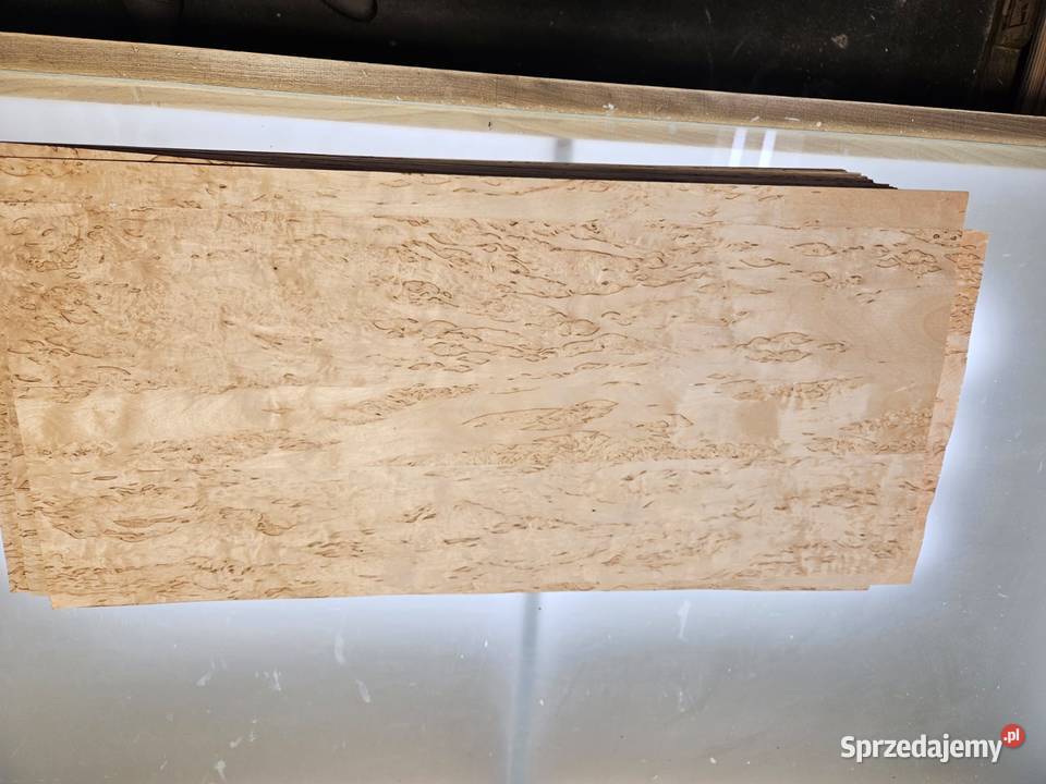 Fornir Brzoza karelska czeczot 750x350mm Osina sprzedam