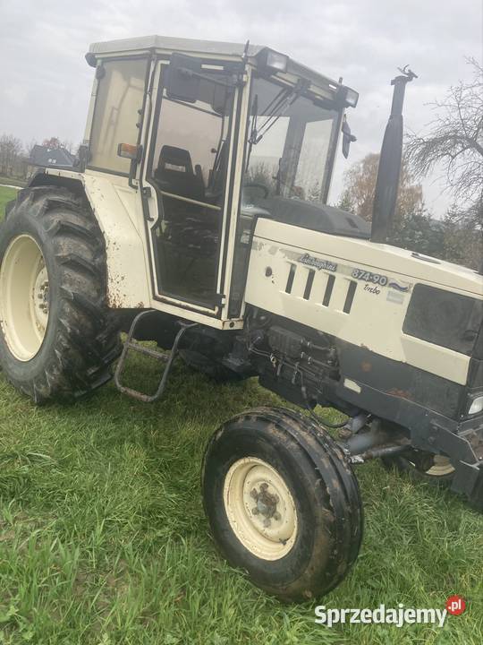 Lamborghini 87490 Lamborghini Borowie sprzedam