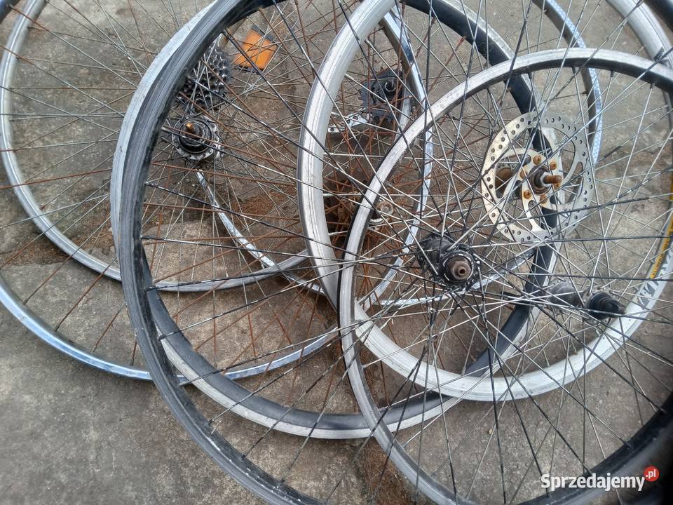 Kolo rowerowe Częstochowa