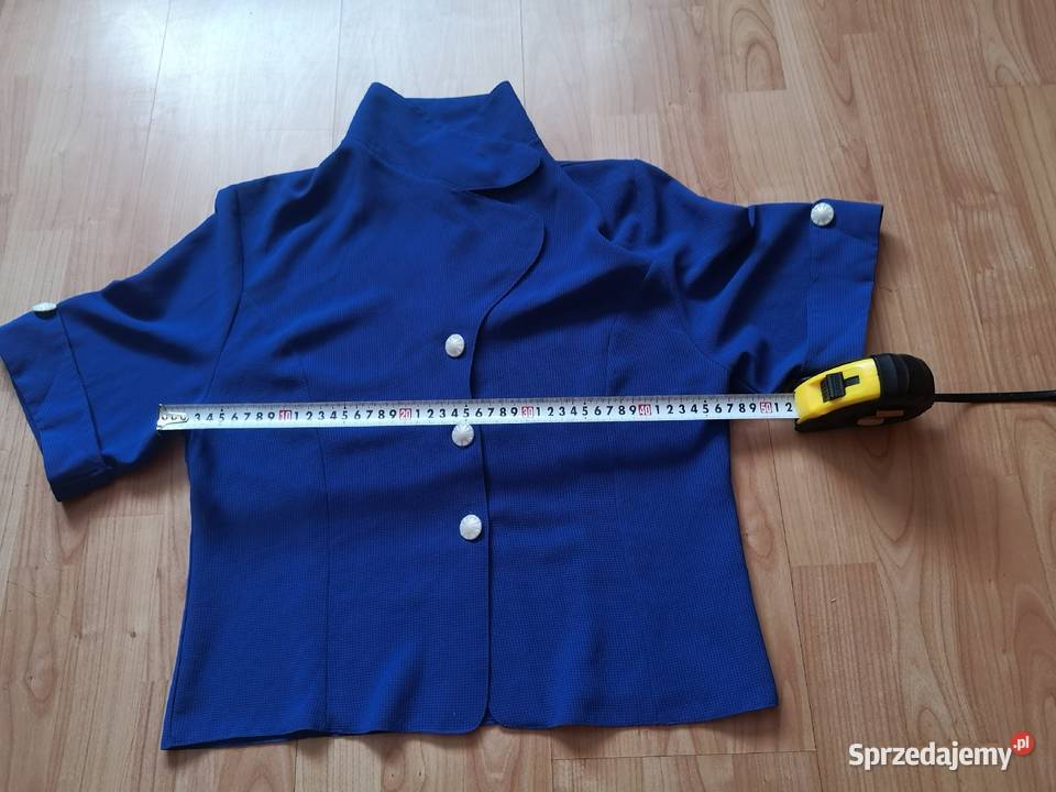 Bluzeczka habrowa dolnośląskie Wałbrzych