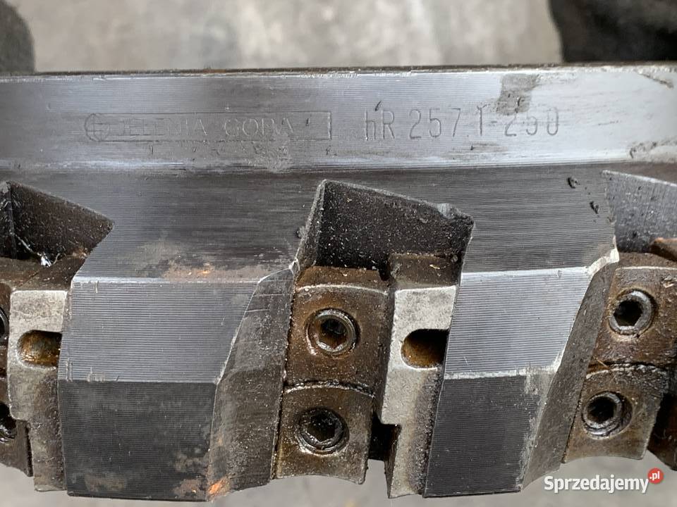 Głowica Frezerska fi250 Zgorzelec sprzedam