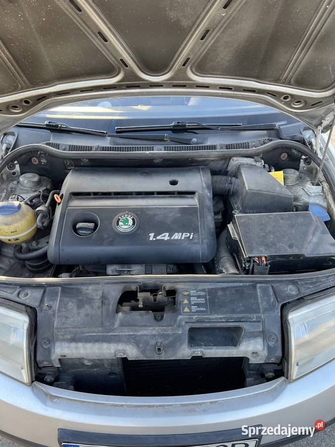 Skoda Fabia 1
