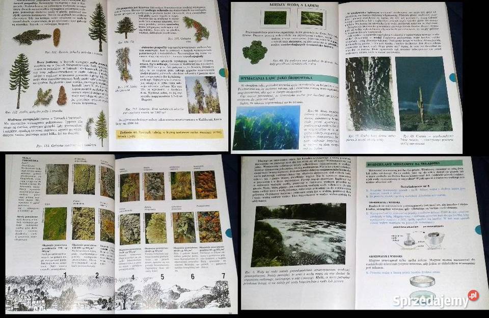 Przyroda kl 5 B Klimuszko M Wilczyńska Wołoszyn lubelskie Chełm