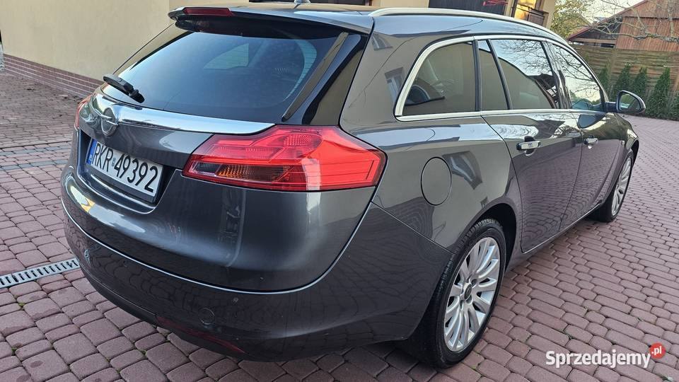 Opel Insignia 20 CDTI 130 2009 Xenon Zarszyn