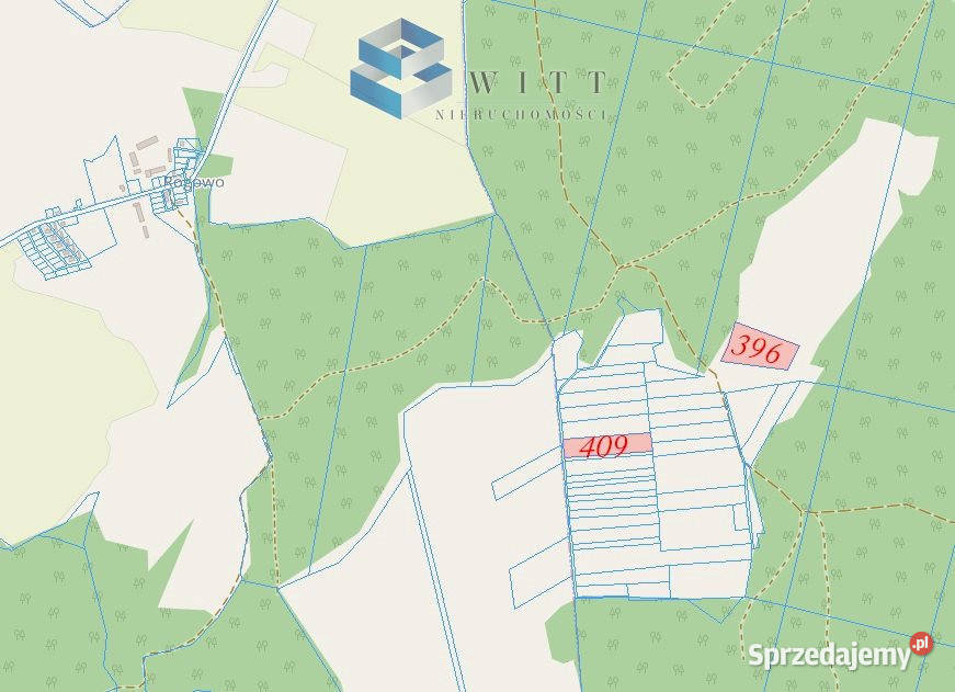Działka Liwa 31400m2