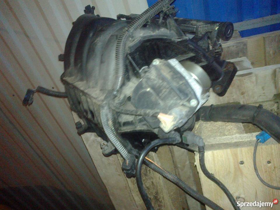 pzepustnica citroen c4 pikaso 18 bezyna łódzkie Wieluń
