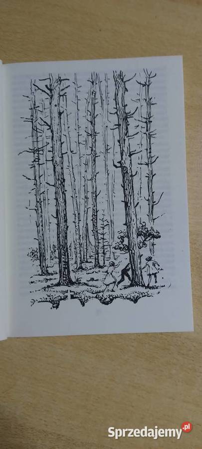 Dolina Tęczy ISBN 8310081235 Lublin