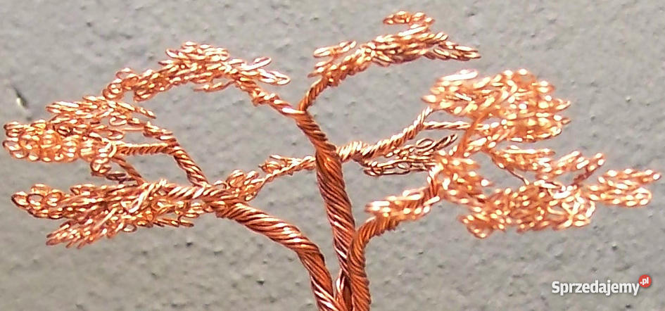 Bonsai z drutu wire tree Częstochowa
