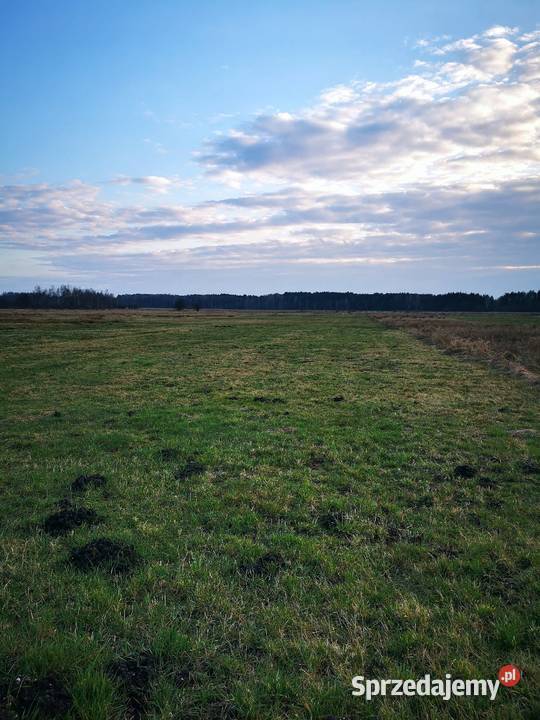 Urzekająca działka w miejscowości Lesisko łódzkie