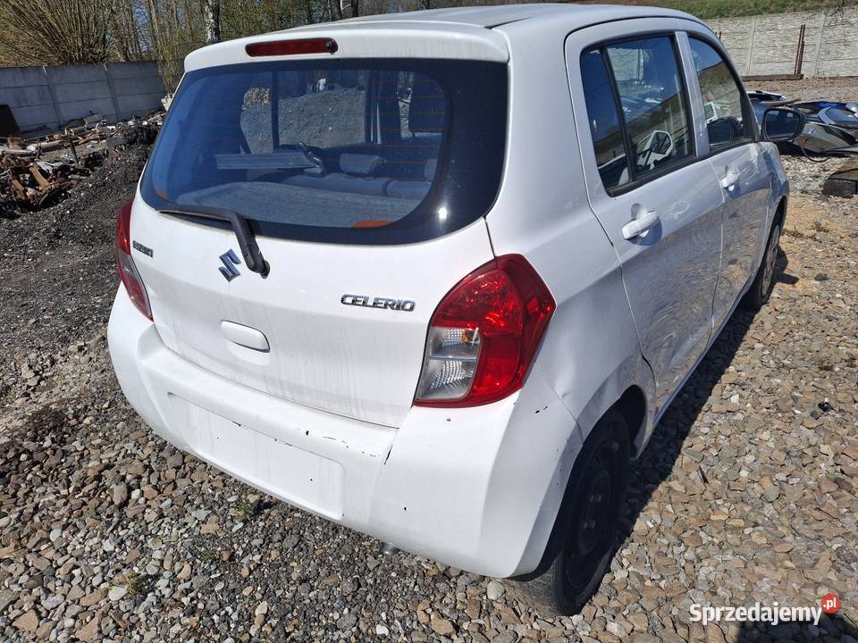 Celerio sprzedam