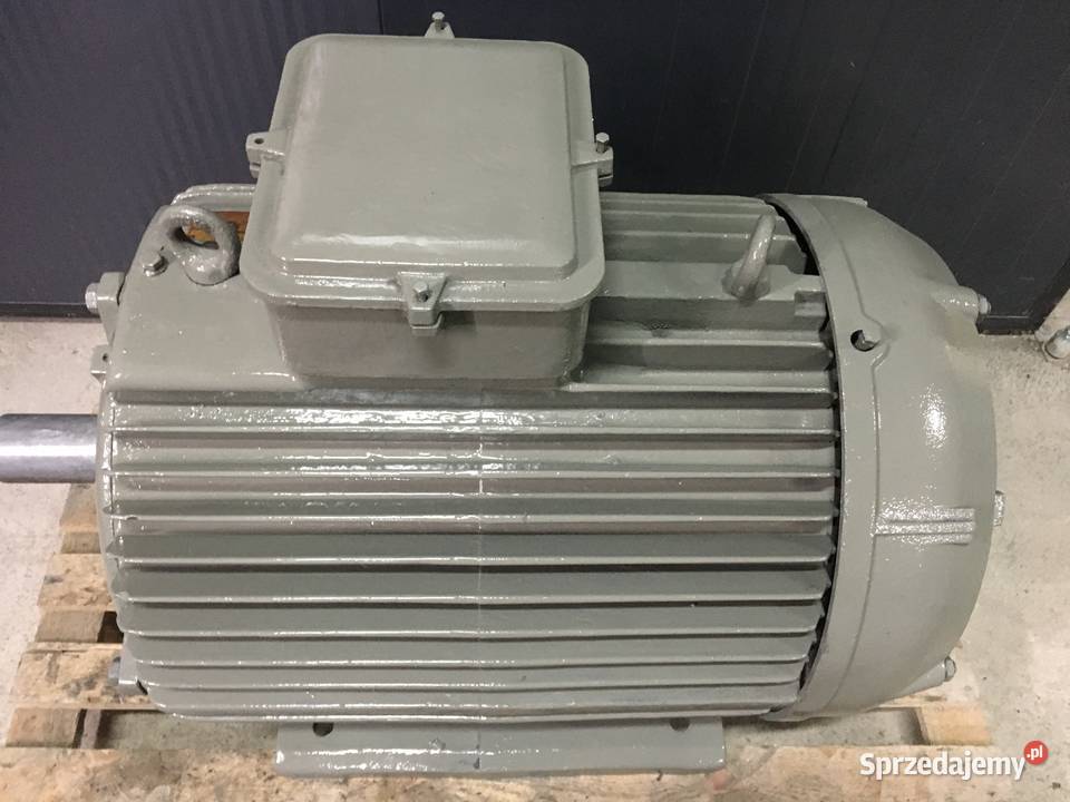 Silnik elektryczny 55 kW 730 obrmin Koło sprzedam