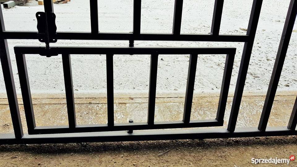 SPWANY CZARNY KOJEC PSA kojce MOCNE Zagroda Siedlce