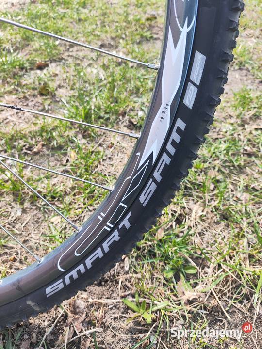 rower trekkingowy Carver Piła