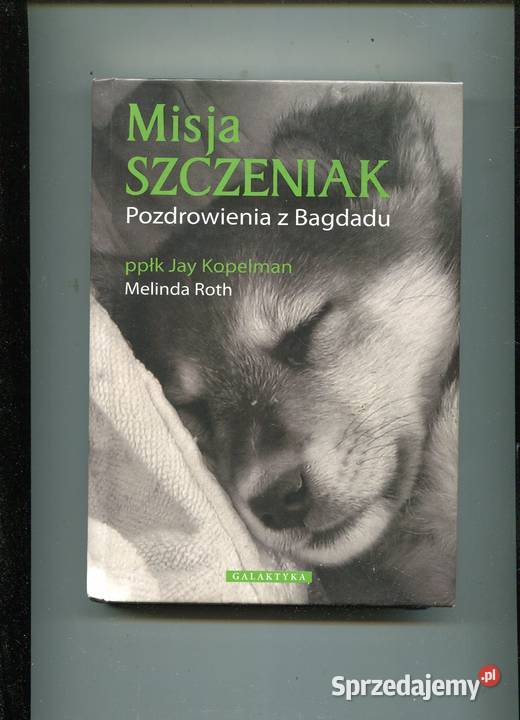 Misja szczeniak Pozdrowienia z Bagdadu Kopelman Pozostałe Szczecin sprzedam