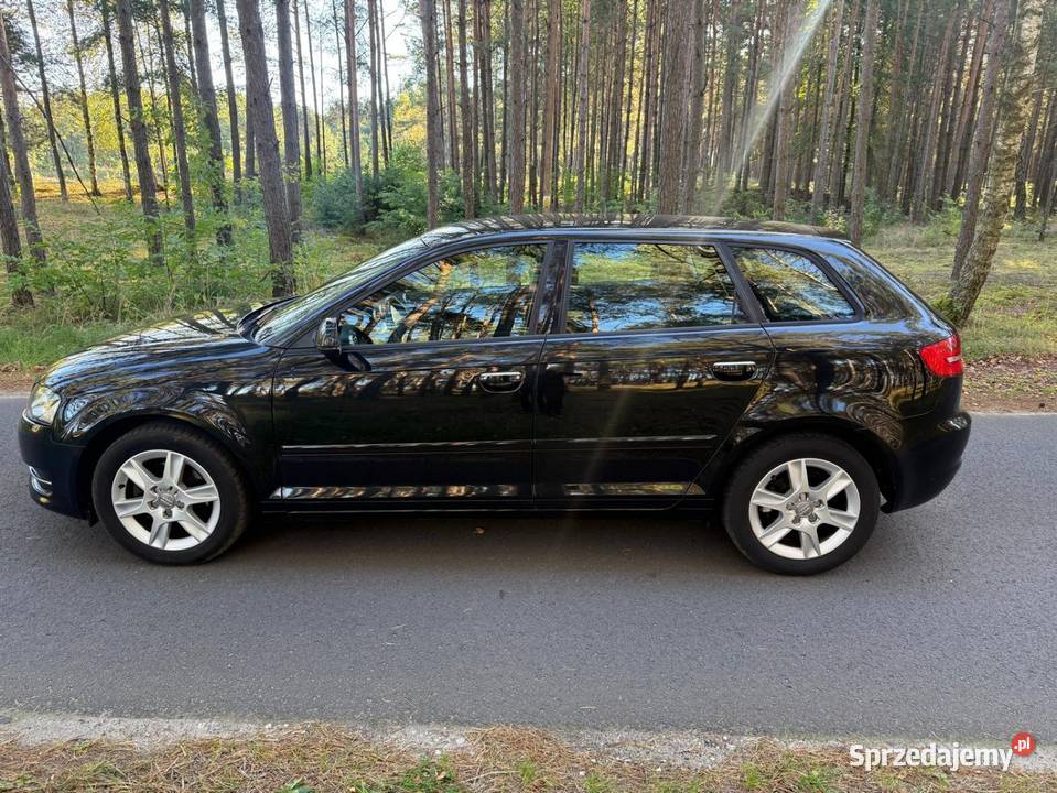 Audi A3 20 TDI CR 2012r Tuchola