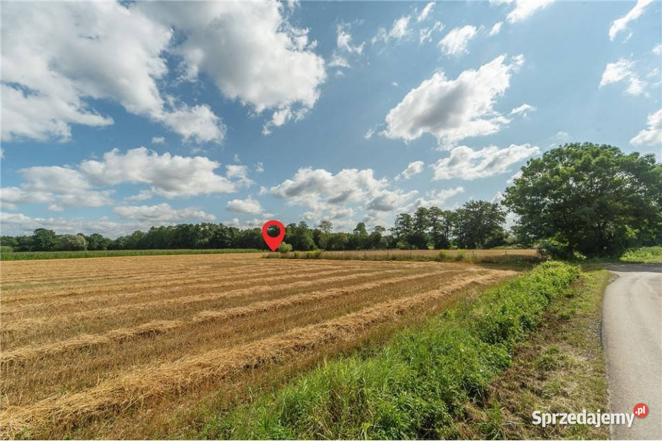 Duży teren z potencjałem inwestora 57500m2 Zabłocie