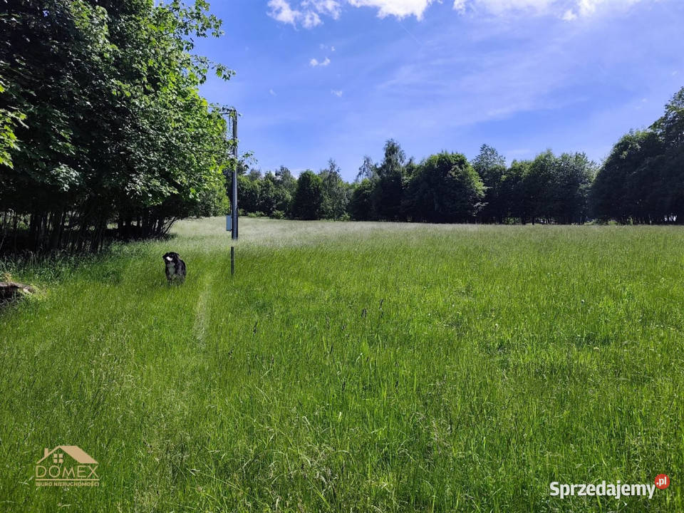Grunt 2310m2 Koszarawa budowlana Nieruchomości