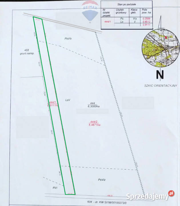 Las sosnowy 50letni pastwiska 9111 m Pustelnik