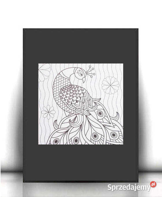 biało czarny plakat z ptaszkiem czarno biały Olsztyn