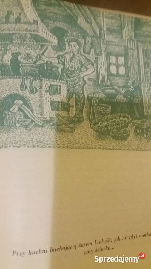 Szkoła obłokami Kownacka Wydawnictwo Nasza