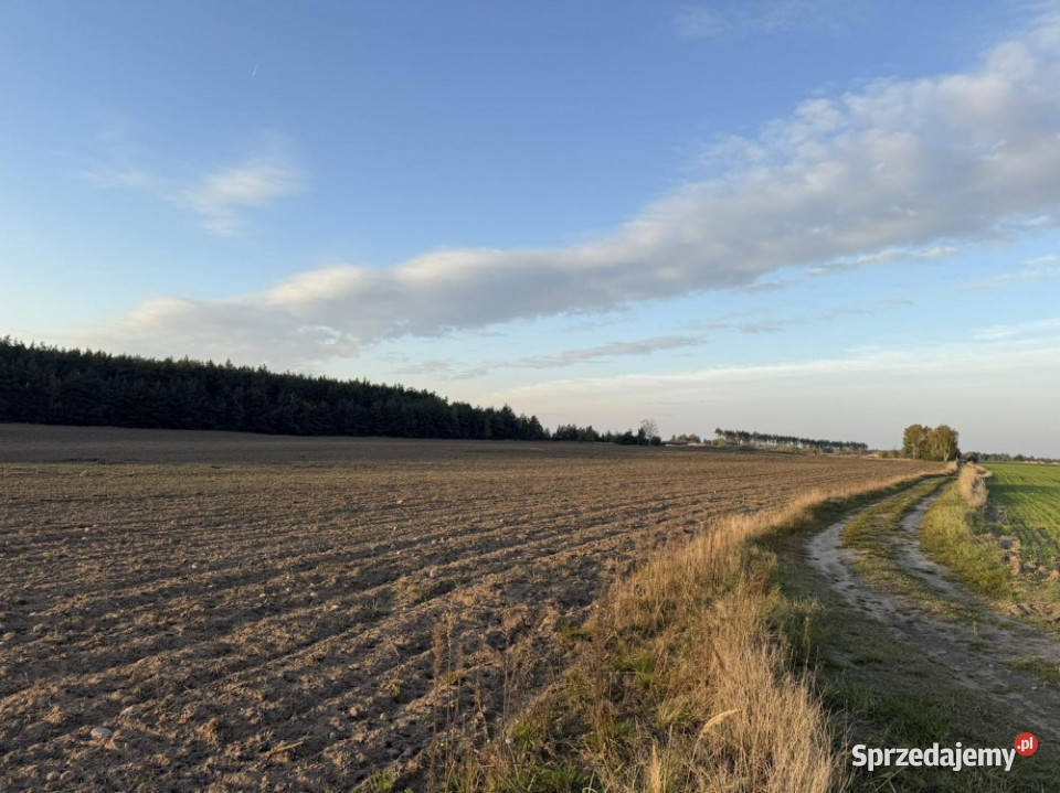 SPRZEDAŻY DŁUGOTERMINOWEJ DZIERŻAWY ŻWIROWNI wielkopolskie Kochowo