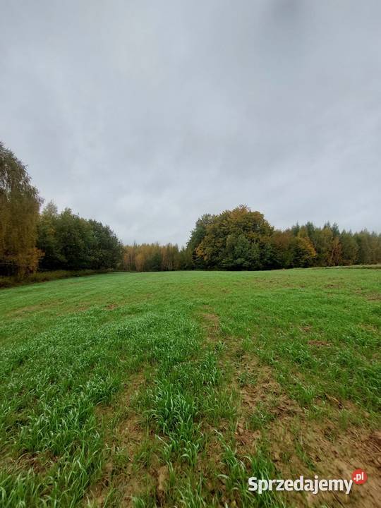 Sprzedam działkę rolną 119 ha Pstrągowa podkarpackie sprzedam