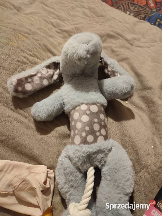 Wyprawka szczeniaka dużejśredniej rasy Dla psów zachodniopomorskie Goleniów