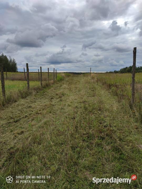 działka budowlana 888M2 nowy modlinmedia na telefon Sprzedaż Nowy Modlin sprzedam