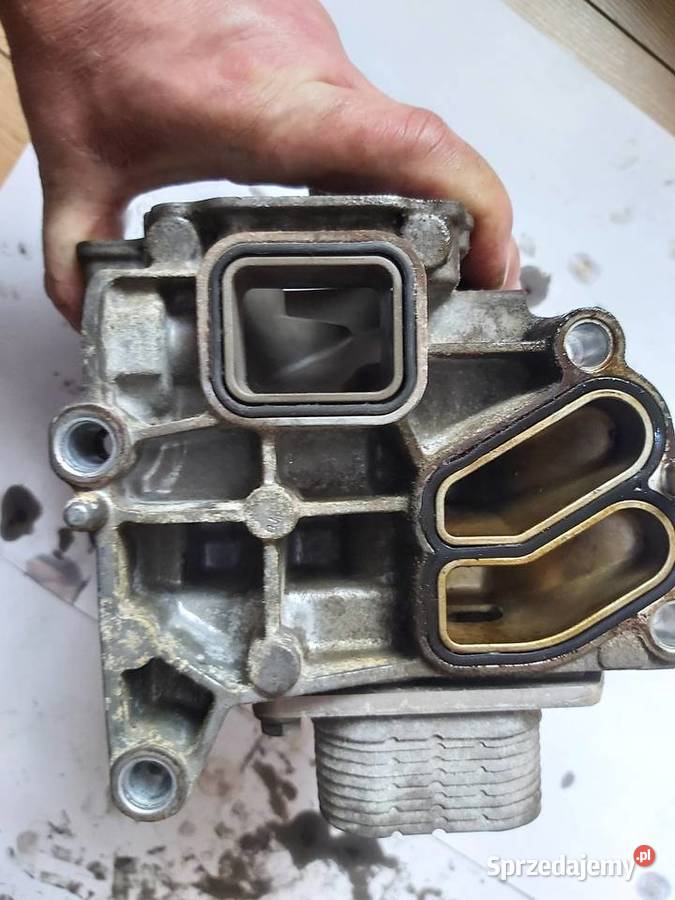 Chłodniczka oleju termostat16T LWC Opel 55571483 osobowe Bydgoszcz