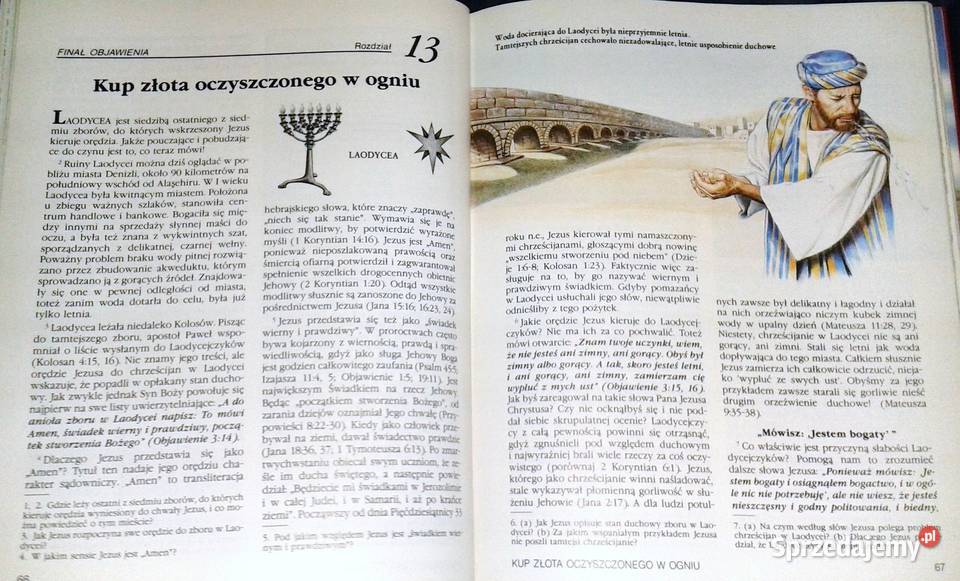 Wspaniały finał Objawienia bliski Praca zbiorowa Rok wydania 1993 Pozostałe Chełm sprzedam