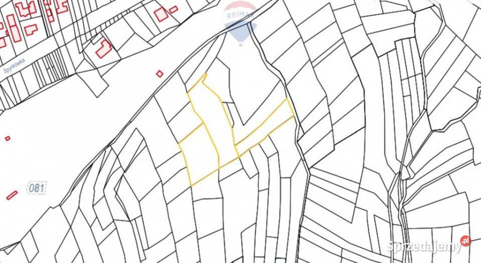 Działka rolna w Zakopanem Bachledzki Wierch