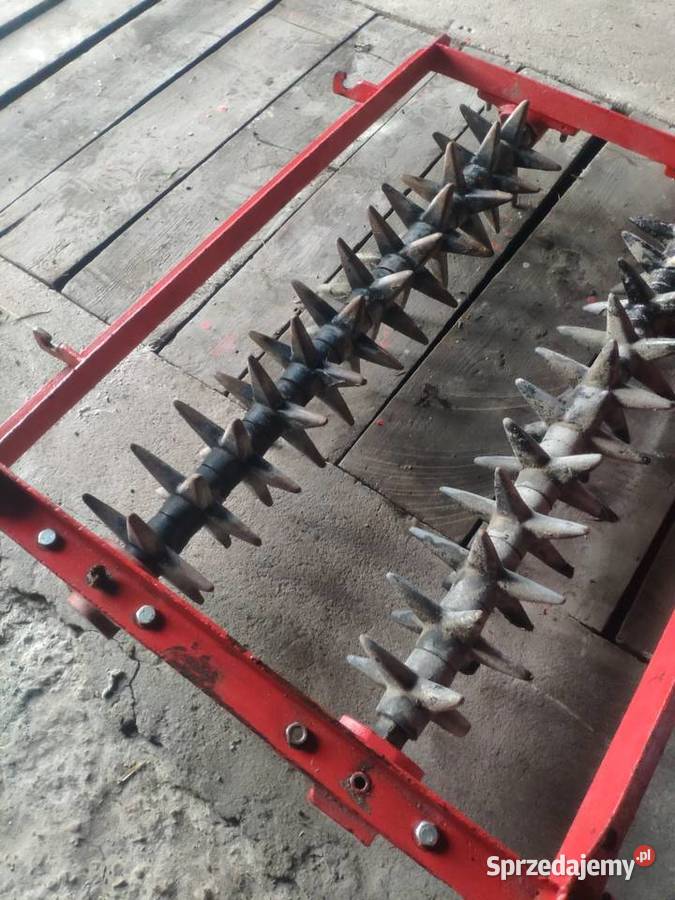 Kolczatka pługa łódzkie Drużbice